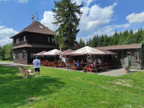 Chata Maxe Švabinského, Česká Třebová